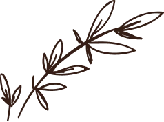 Flower 2
